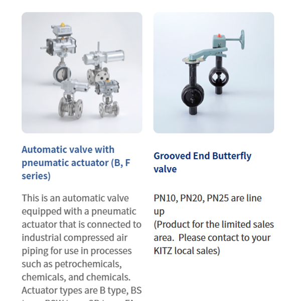 KITZ日本開滋閥門、10K電動(dòng)蝶閥EXS100-10DJUE-250A