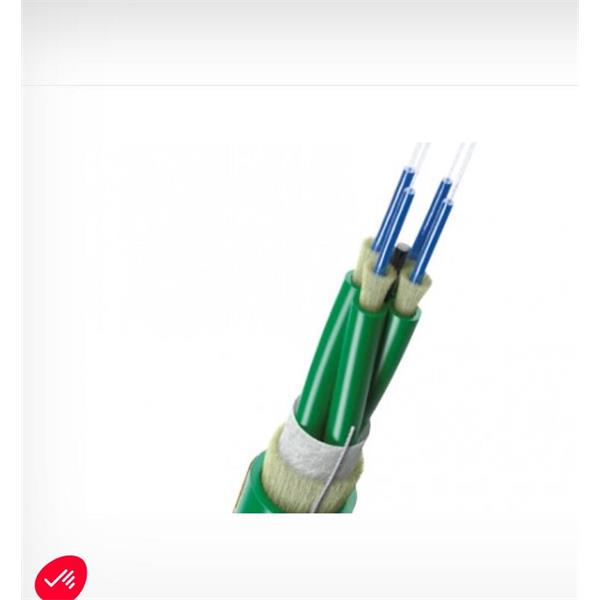 英國(guó)Scaime 力傳感器MTRZ-50kN