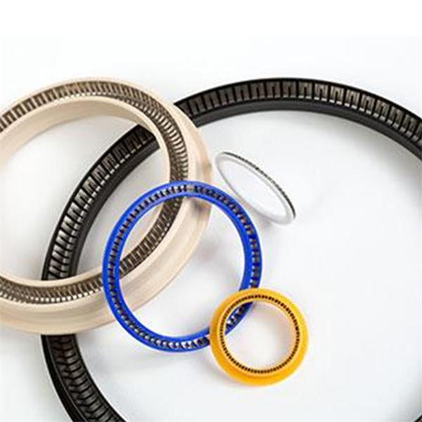 圣戈班 saint gobian 彈簧蓄能密封圈OmniSeal? RACO