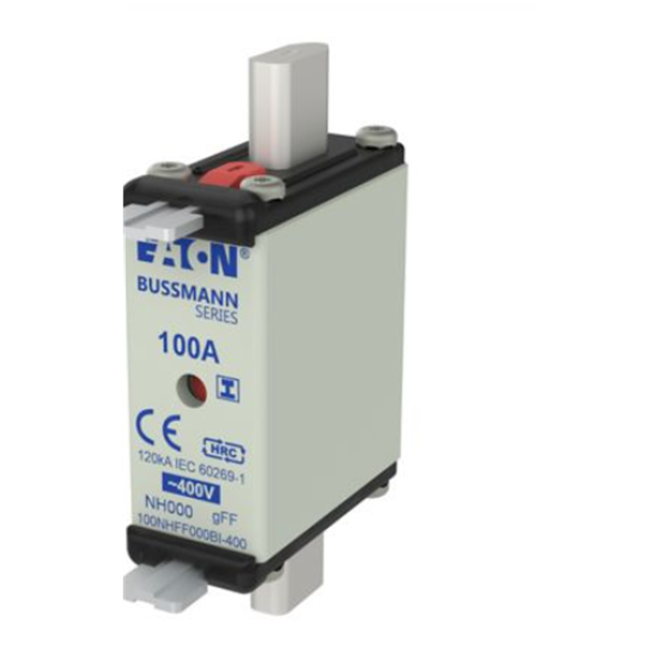 EATON伊頓刀片、玻璃管式斷路器和二極管CB185-50